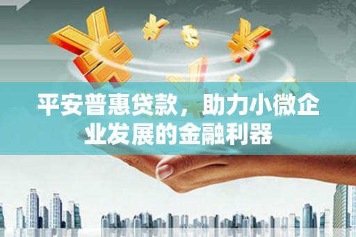 乡城平安普惠贷款，助力小微企业发展的金融利器