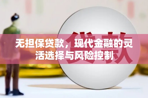 乡城无担保贷款，现代金融的灵活选择与风险控制