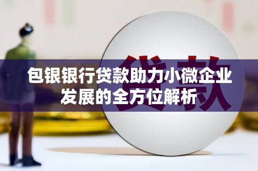 乡城包银银行贷款助力小微企业发展的全方位解析