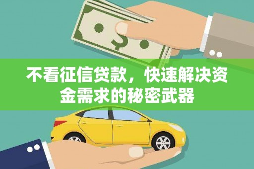 乡城不看征信贷款，快速解决资金需求的秘密武器