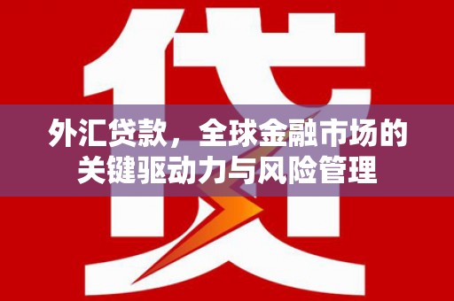 乡城外汇贷款，全球金融市场的关键驱动力与风险管理