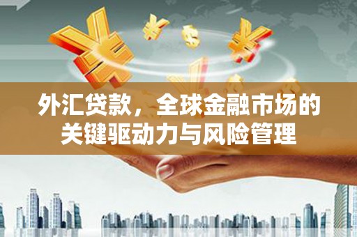 乡城外汇贷款，全球金融市场的关键驱动力与风险管理