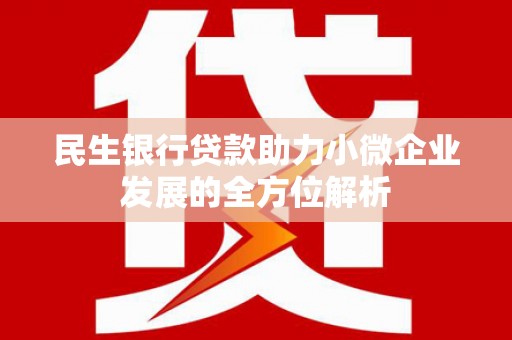 乡城民生银行贷款助力小微企业发展的全方位解析
