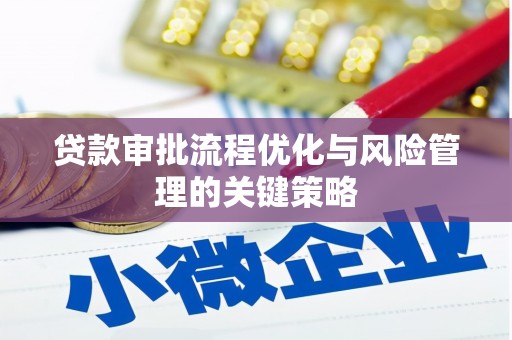 乡城贷款审批流程优化与风险管理的关键策略