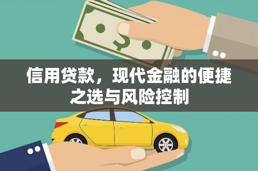 乡城信用贷款，现代金融的便捷之选与风险控制