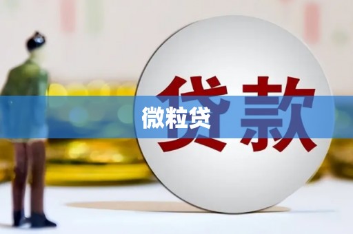 乡城微粒贷