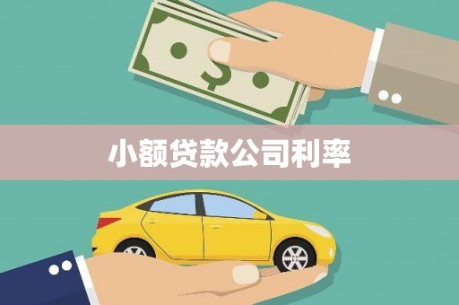 乡城小额贷款公司利率