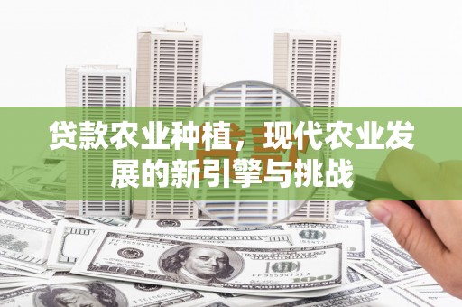 乡城贷款农业种植，现代农业发展的新引擎与挑战