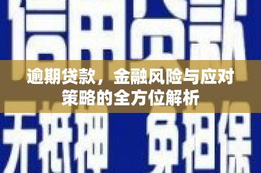 乡城逾期贷款，金融风险与应对策略的全方位解析