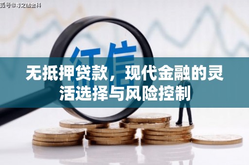 乡城无抵押贷款，现代金融的灵活选择与风险控制
