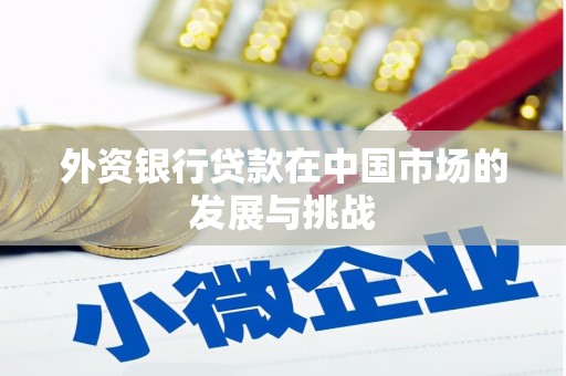 乡城外资银行贷款在中国市场的发展与挑战