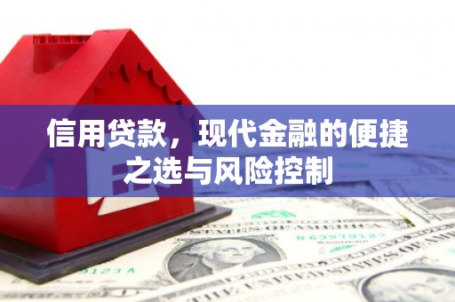 乡城信用贷款，现代金融的便捷之选与风险控制