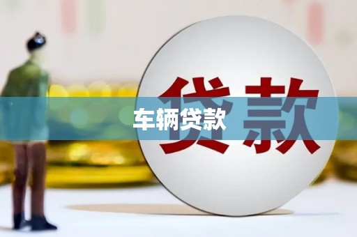 乡城车辆贷款