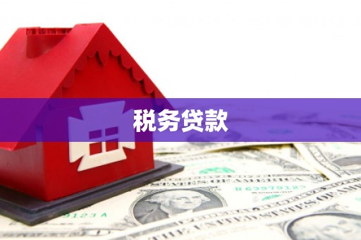 乡城税务贷款