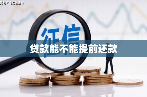 乡城贷款能不能提前还款