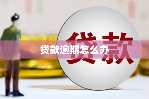乡城贷款逾期怎么办