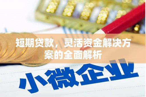 乡城短期贷款，灵活资金解决方案的全面解析
