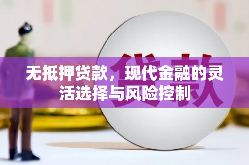 乡城无抵押贷款，现代金融的灵活选择与风险控制