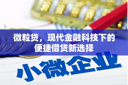 乡城微粒贷，现代金融科技下的便捷借贷新选择