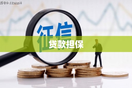 乡城贷款担保