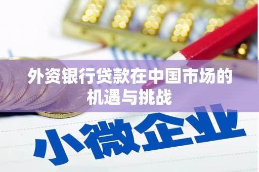 乡城外资银行贷款在中国市场的机遇与挑战