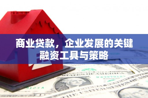 乡城商业贷款，企业发展的关键融资工具与策略