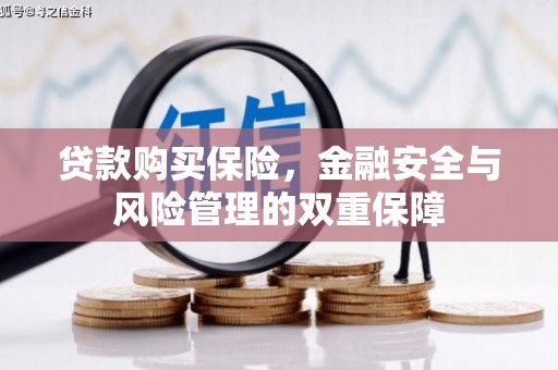 乡城贷款购买保险，金融安全与风险管理的双重保障