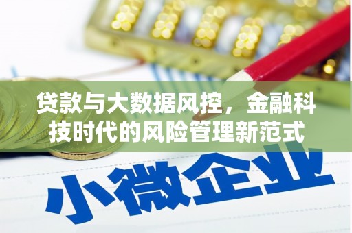 乡城贷款与大数据风控，金融科技时代的风险管理新范式