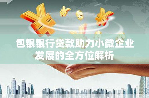乡城包银银行贷款助力小微企业发展的全方位解析