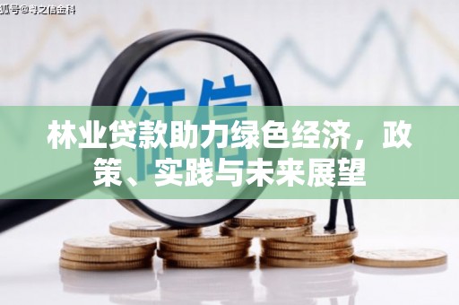 乡城林业贷款助力绿色经济，政策、实践与未来展望