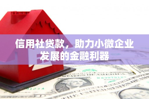 乡城信用社贷款，助力小微企业发展的金融利器