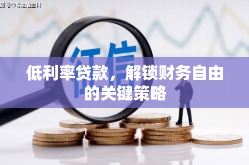 乡城低利率贷款，解锁财务自由的关键策略