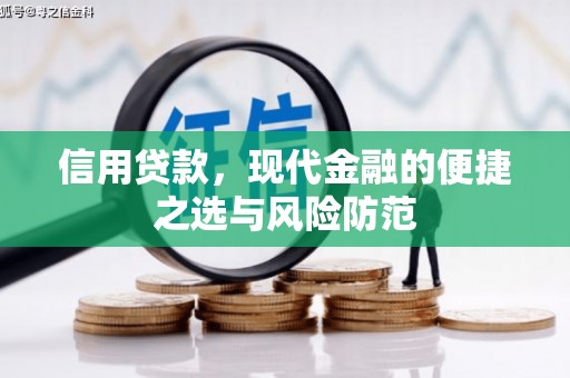 乡城信用贷款，现代金融的便捷之选与风险防范