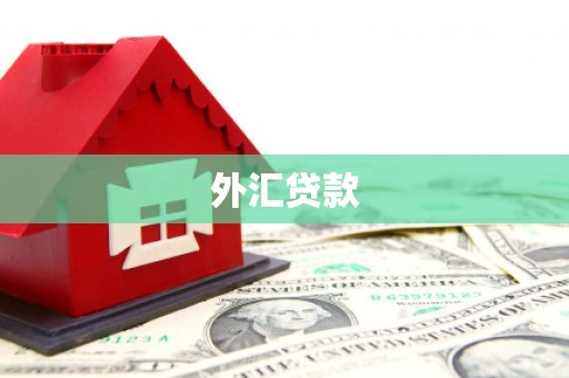 乡城外汇贷款