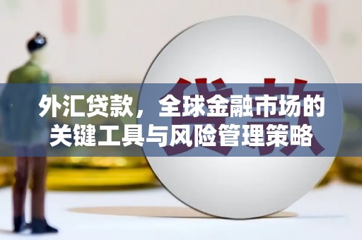 乡城外汇贷款，全球金融市场的关键工具与风险管理策略
