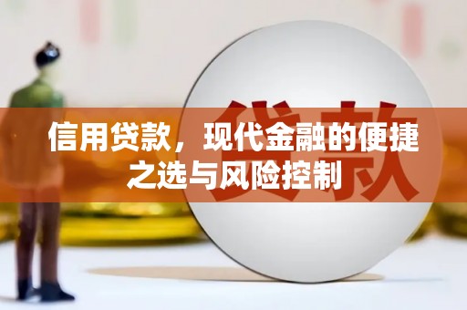 乡城信用贷款，现代金融的便捷之选与风险控制