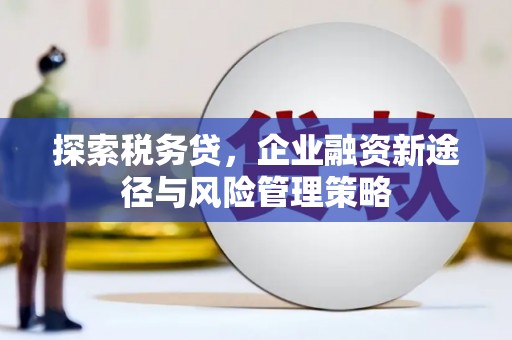 乡城探索税务贷，企业融资新途径与风险管理策略