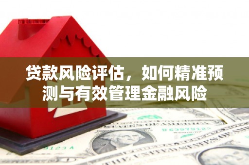 乡城贷款风险评估，如何精准预测与有效管理金融风险