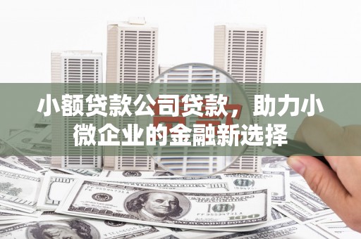 乡城小额贷款公司贷款，助力小微企业的金融新选择