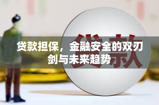 乡城贷款担保，金融安全的双刃剑与未来趋势
