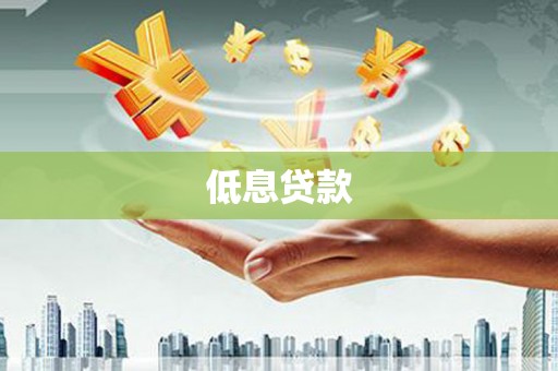 乡城低息贷款
