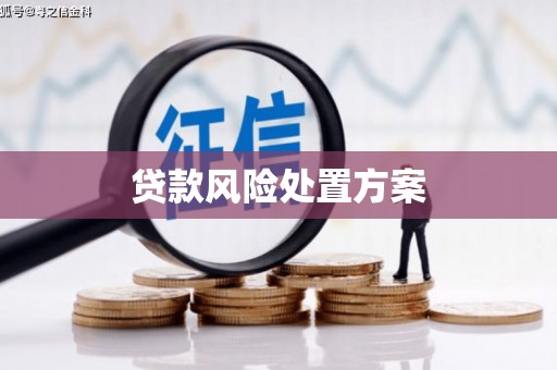 乡城贷款风险处置方案