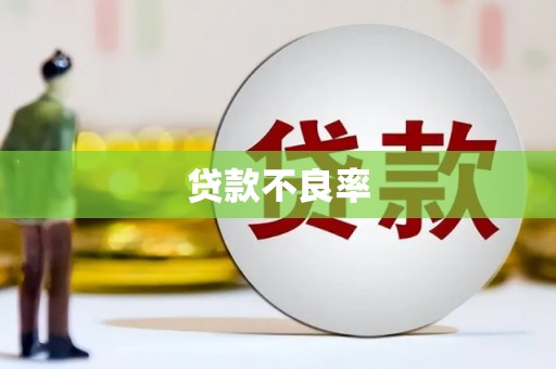 乡城贷款不良率