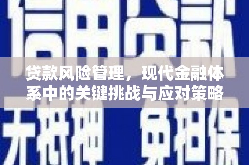 乡城贷款风险管理，现代金融体系中的关键挑战与应对策略