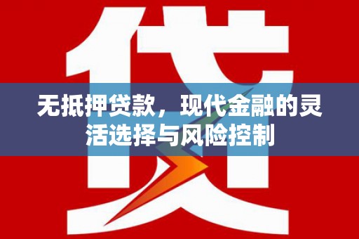 乡城无抵押贷款，现代金融的灵活选择与风险控制