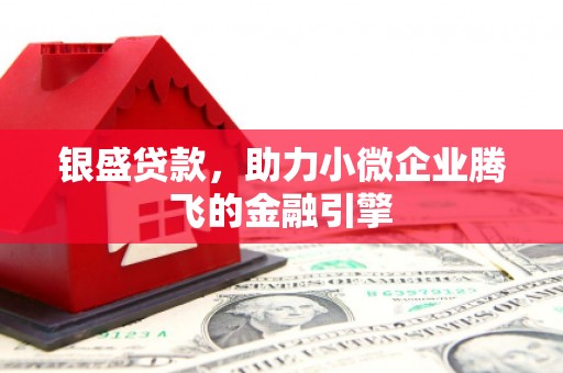 乡城银盛贷款，助力小微企业腾飞的金融引擎