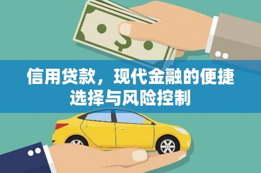 乡城信用贷款，现代金融的便捷选择与风险控制
