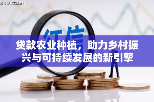 乡城贷款农业种植，助力乡村振兴与可持续发展的新引擎