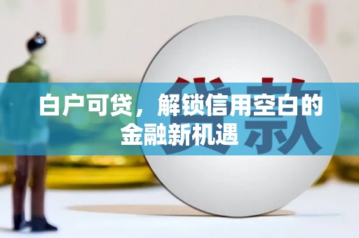 乡城白户可贷，解锁信用空白的金融新机遇