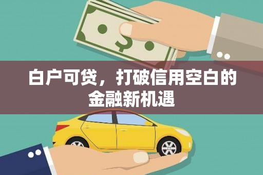 乡城白户可贷，打破信用空白的金融新机遇